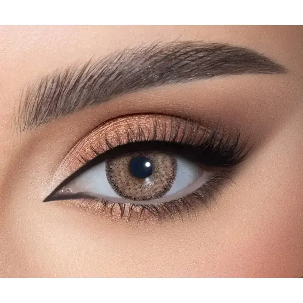 Argan - Dahab, Dahab optical -- Julia Lenses Store - Egypt - Dahab, Dahab optical