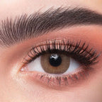 Cat Eye - Dahab, Dahab optical -- Julia Lenses Store - Egypt - Dahab, Dahab optical