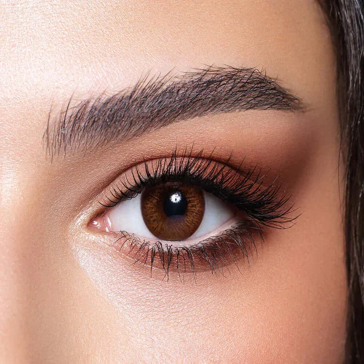 Cinnamon Brown-Elite - Bella, Bella OPTICS -- Julia Lenses Store - Egypt - Bella, Bella OPTICS